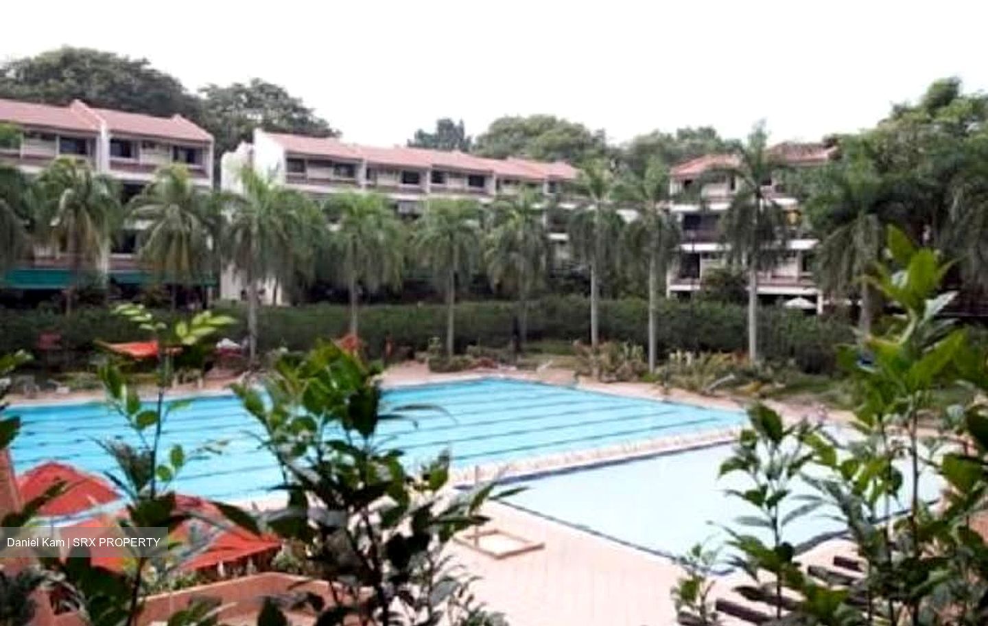 Whampoa Drive (D12), Condominium #560639511